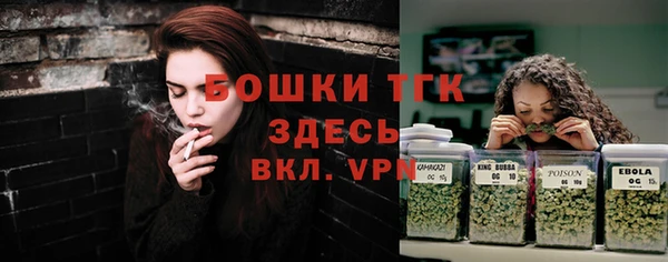 хмурый Касимов