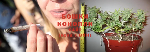 хмурый Касимов