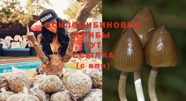 скорость Карталы