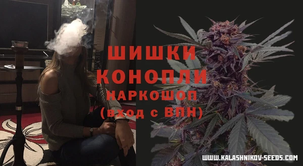хмурый Касимов